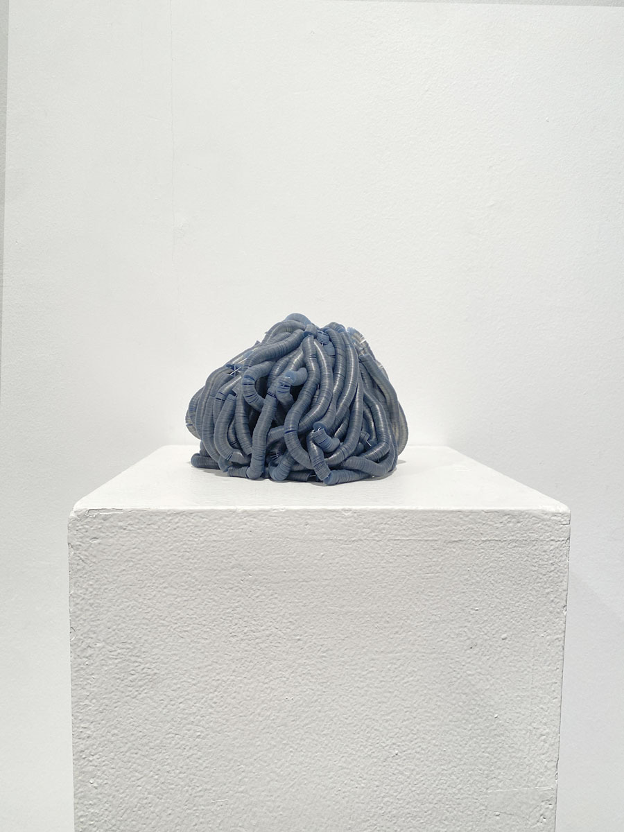 Bluenoir-CarmenM.Castañeda