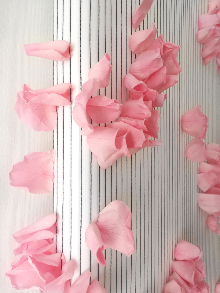 yotambienbirdoflores-anonimabycm