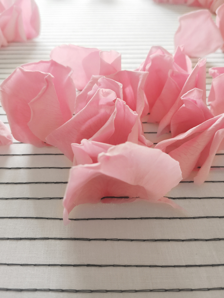 yotambienbirdoflores-anonimabycm