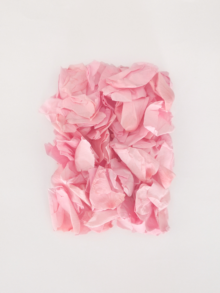yotambienbirdoflores-anonimabycm